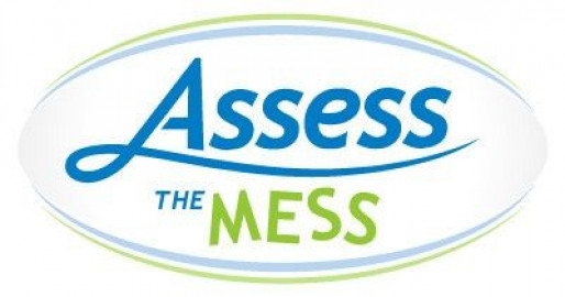 Visit Assess the Mess