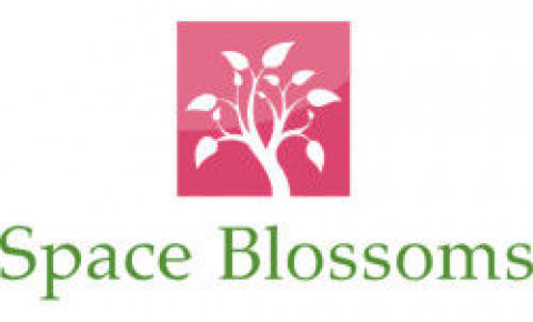 Visit Space Blossoms, LLC