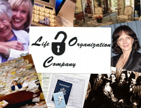 Visit Life Organization Company