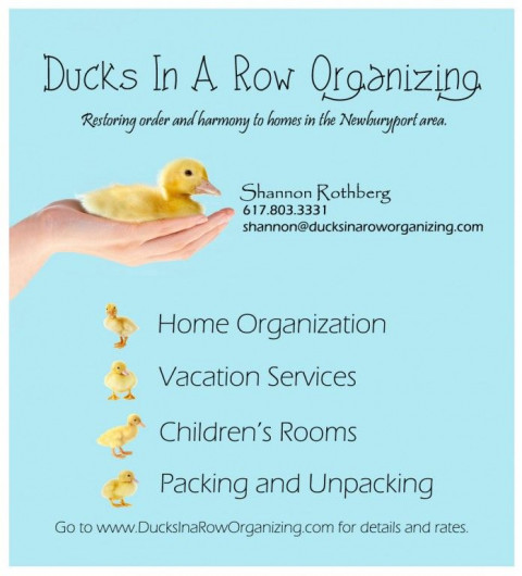 Visit Ducks In A Row Organizing