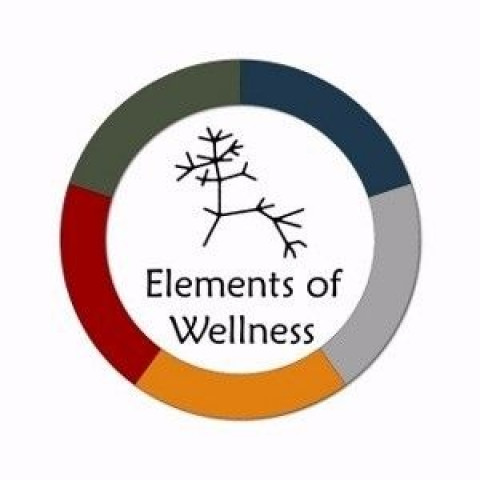 Visit Elements of Wellness Organizing