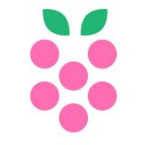 Visit Raspberry Reorg