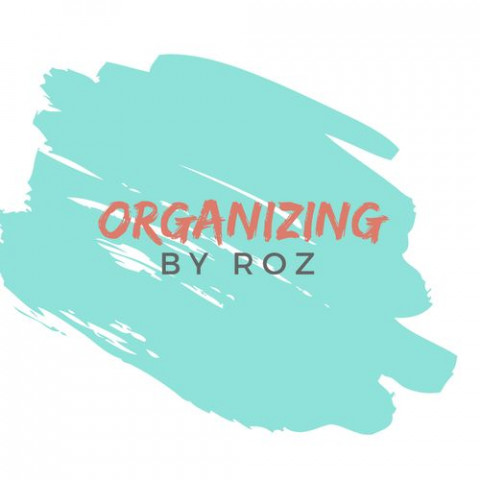 Visit Organizing by Roz