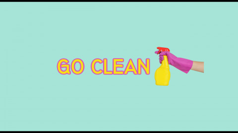 Visit Go Clean