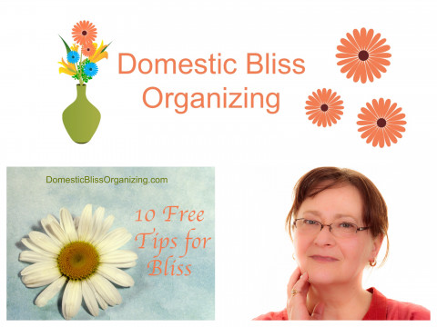 Visit Domestic Bliss Organizing