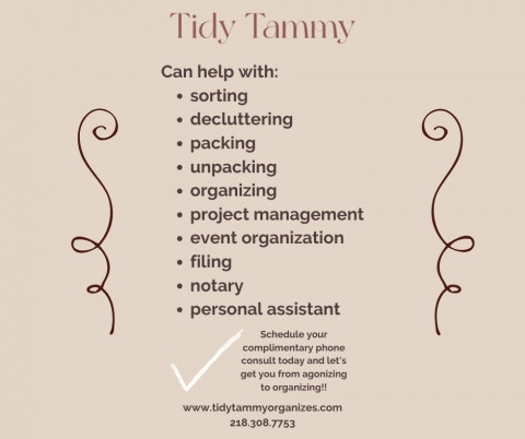 Visit Tidy Tammy Organizes