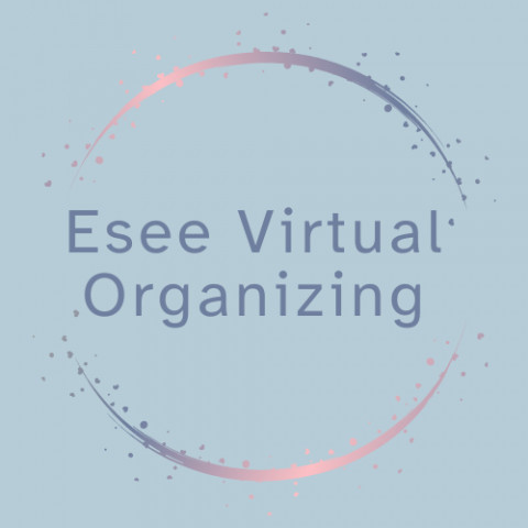 Visit Esee Virtual Organizing