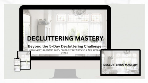 Visit The ORGANIZEDPreneur